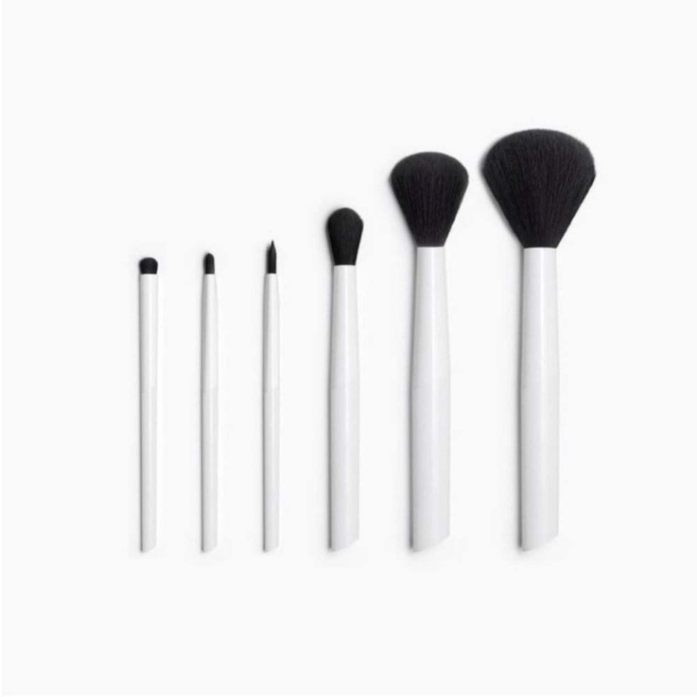 ZARA Professional Brush collection